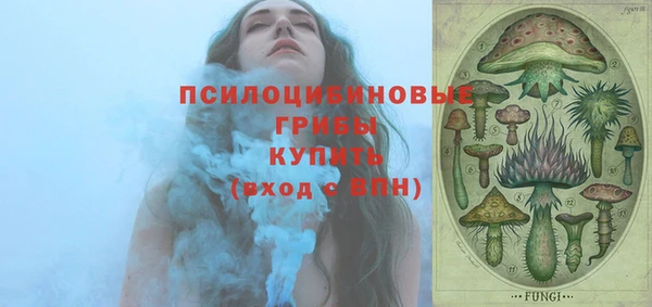 круглые Алексеевка