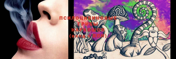 метадон Алексин