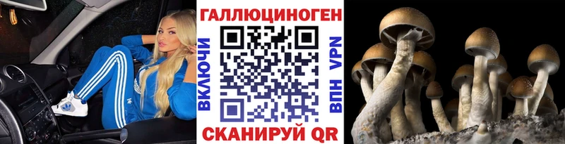 Галлюциногенные грибы MAGIC MUSHROOMS  Плавск 